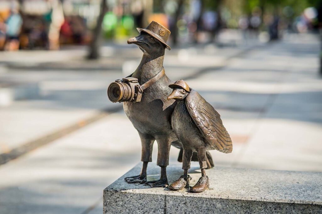 k5 Mewy "mariany " Kołobrzeg